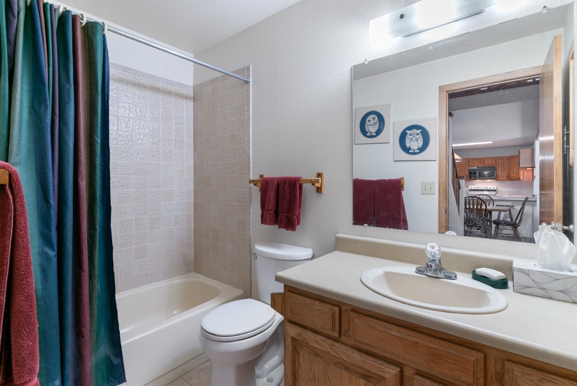 89310 Ryan Gulch Road Silverthorne CO 80498