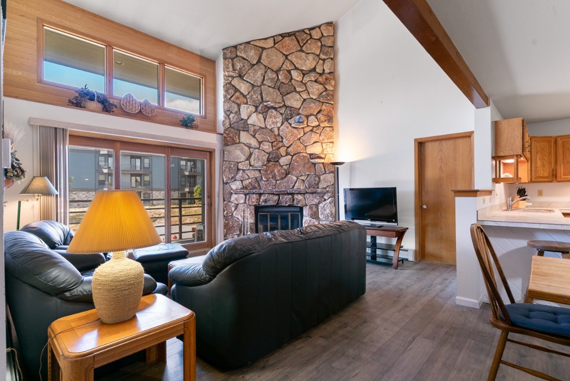 89310 Ryan Gulch Road Silverthorne CO 80498