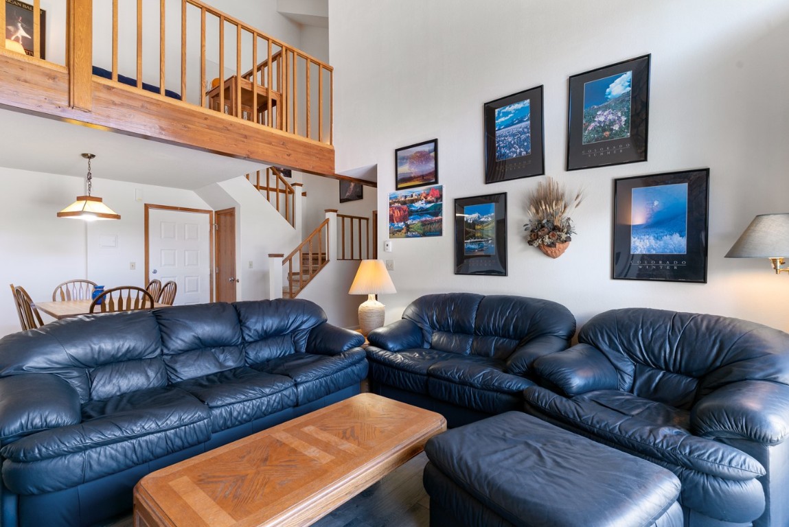 89310 Ryan Gulch Road Silverthorne CO 80498