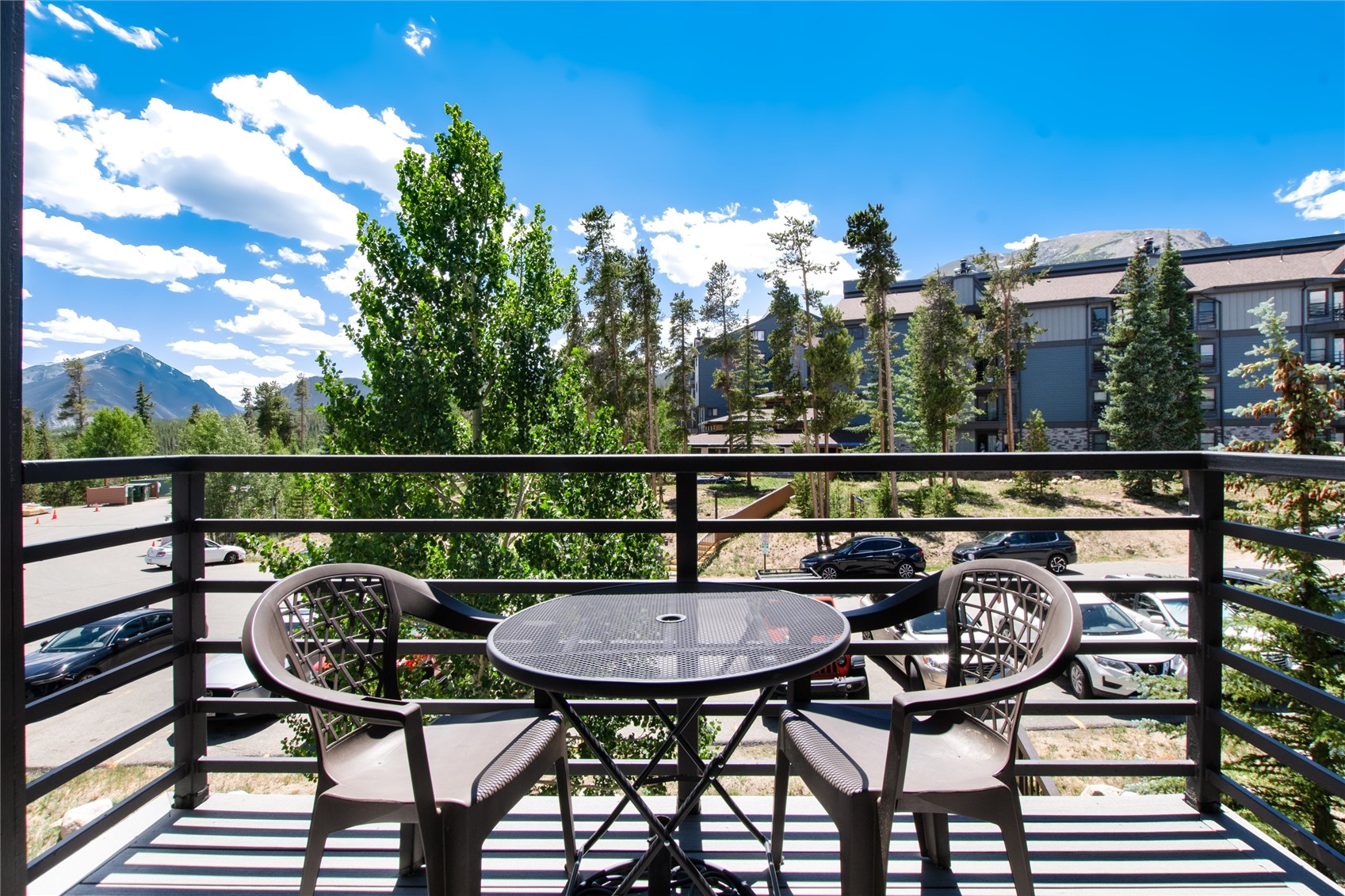89410 Ryan Gulch Road Silverthorne CO 80498