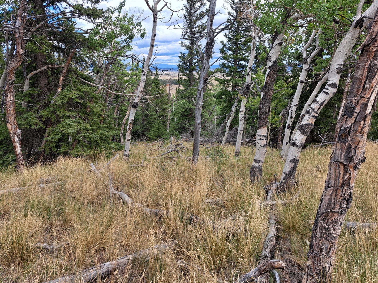 1844 High Creek Road Fairplay CO 80440