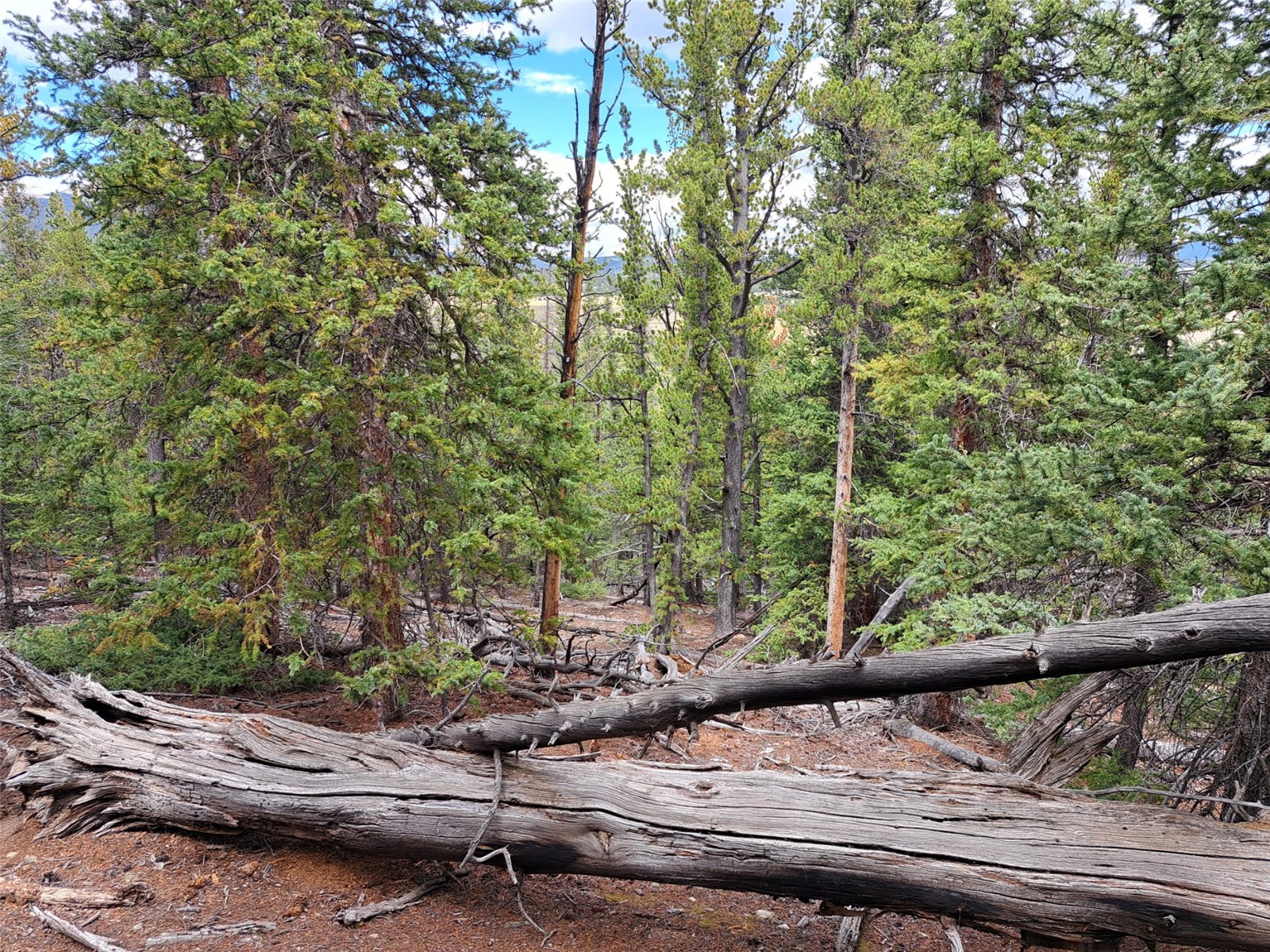 1844 High Creek Road Fairplay CO 80440