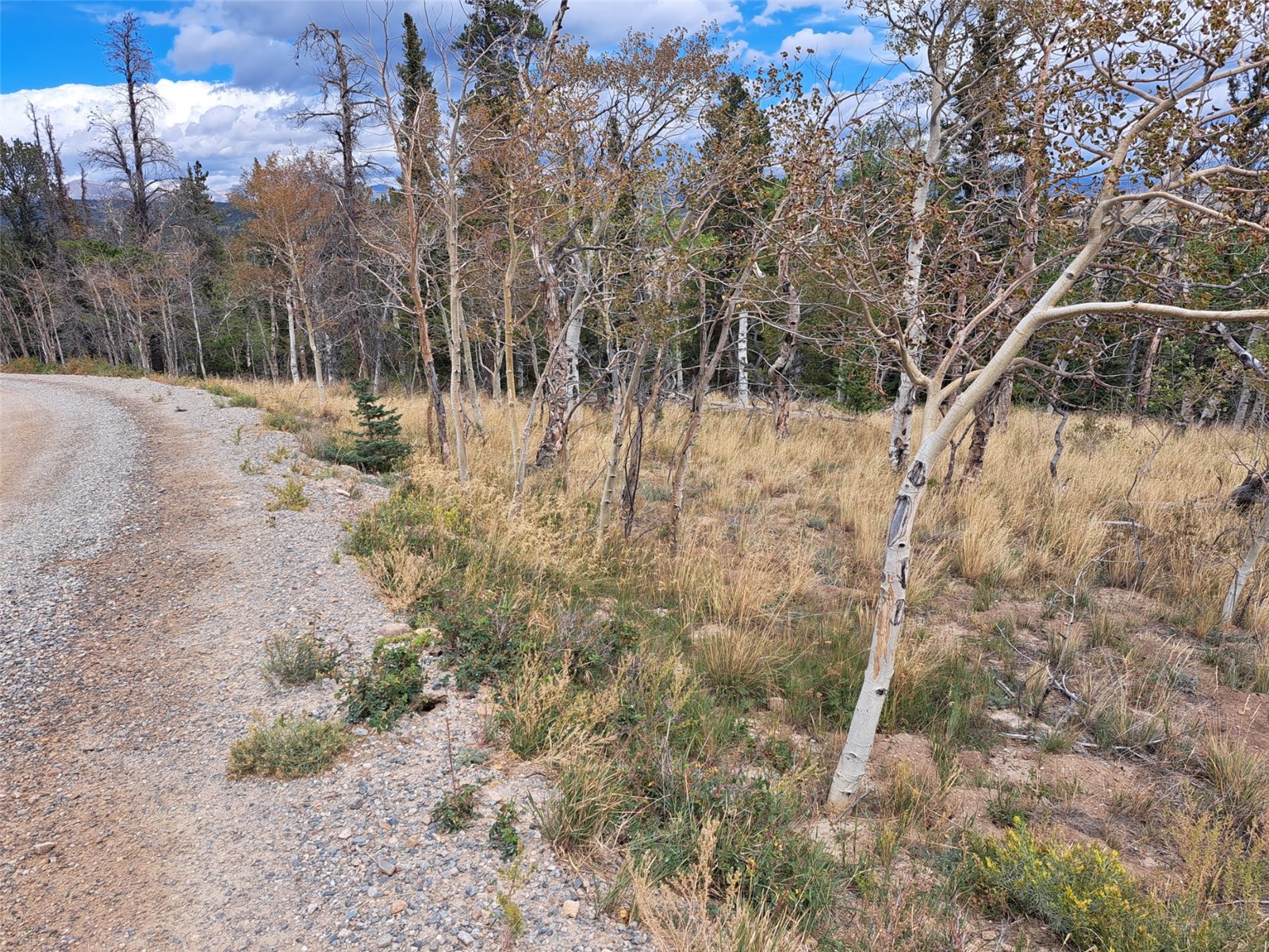 1844 High Creek Road Fairplay CO 80440