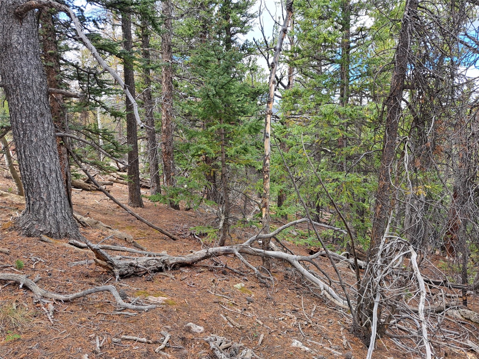 1844 High Creek Road Fairplay CO 80440