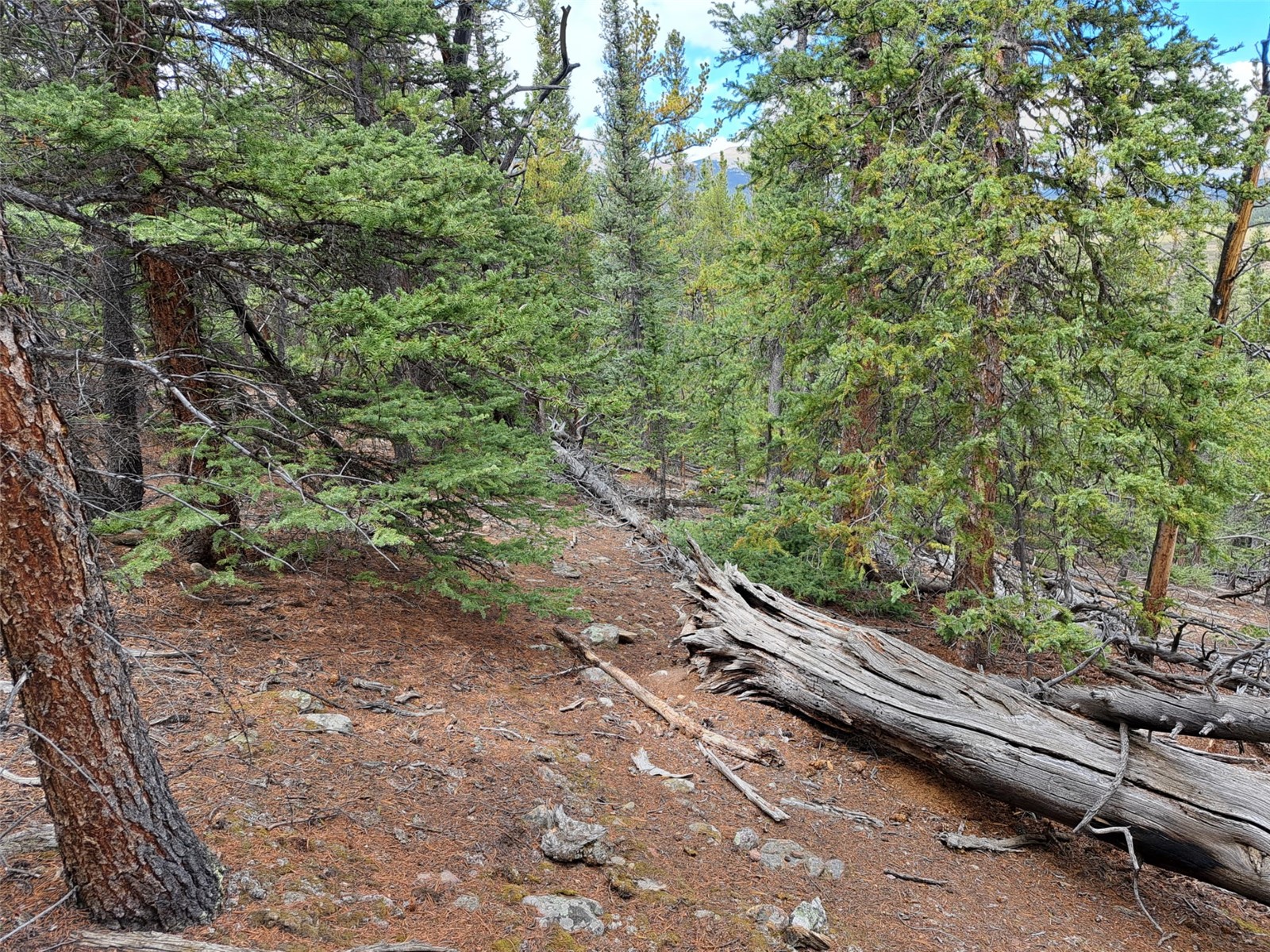 1844 High Creek Road Fairplay CO 80440