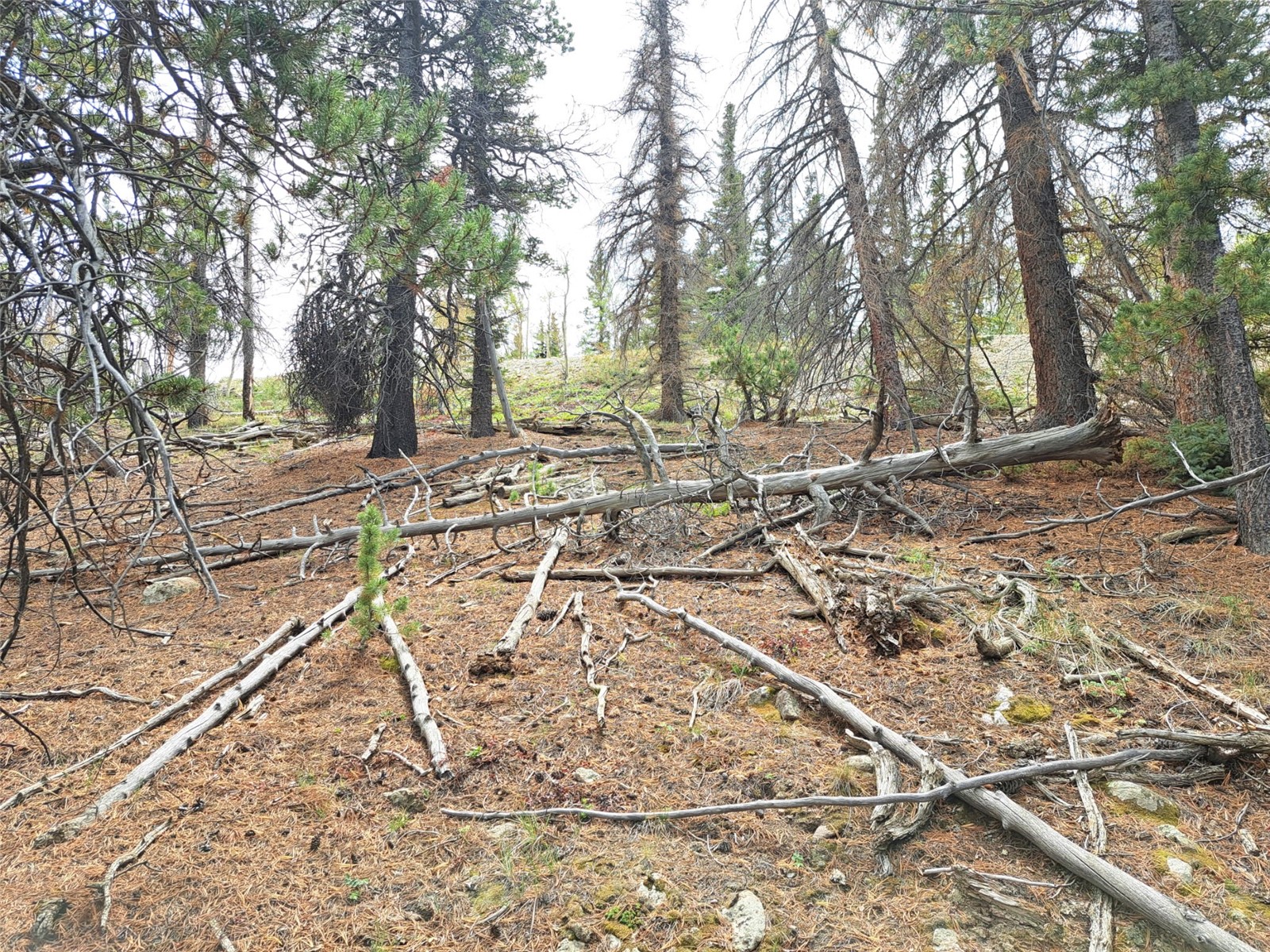 1844 High Creek Road Fairplay CO 80440