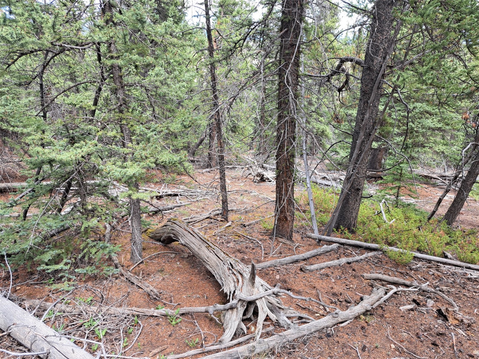1844 High Creek Road Fairplay CO 80440