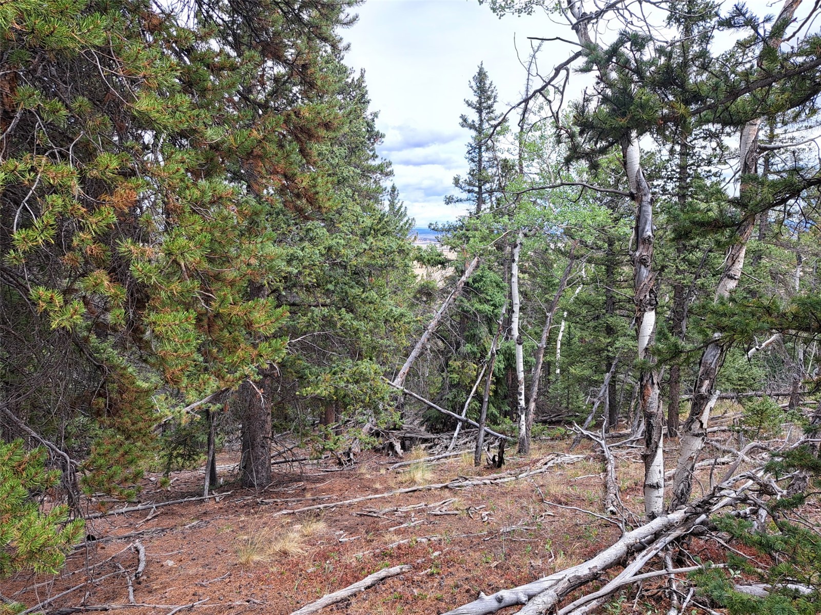 1844 High Creek Road Fairplay CO 80440
