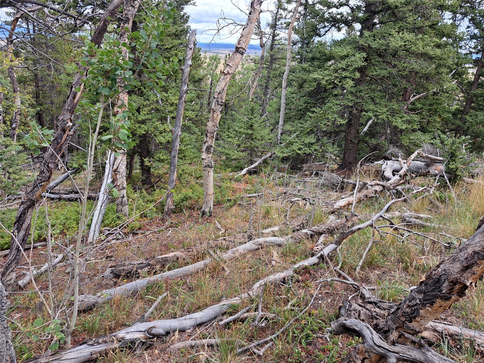 1844 High Creek Road Fairplay CO 80440