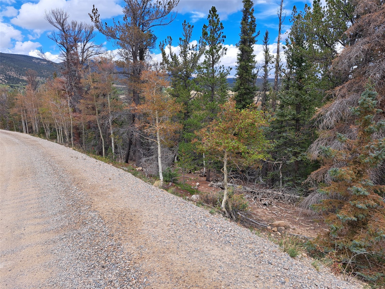1844 High Creek Road Fairplay CO 80440