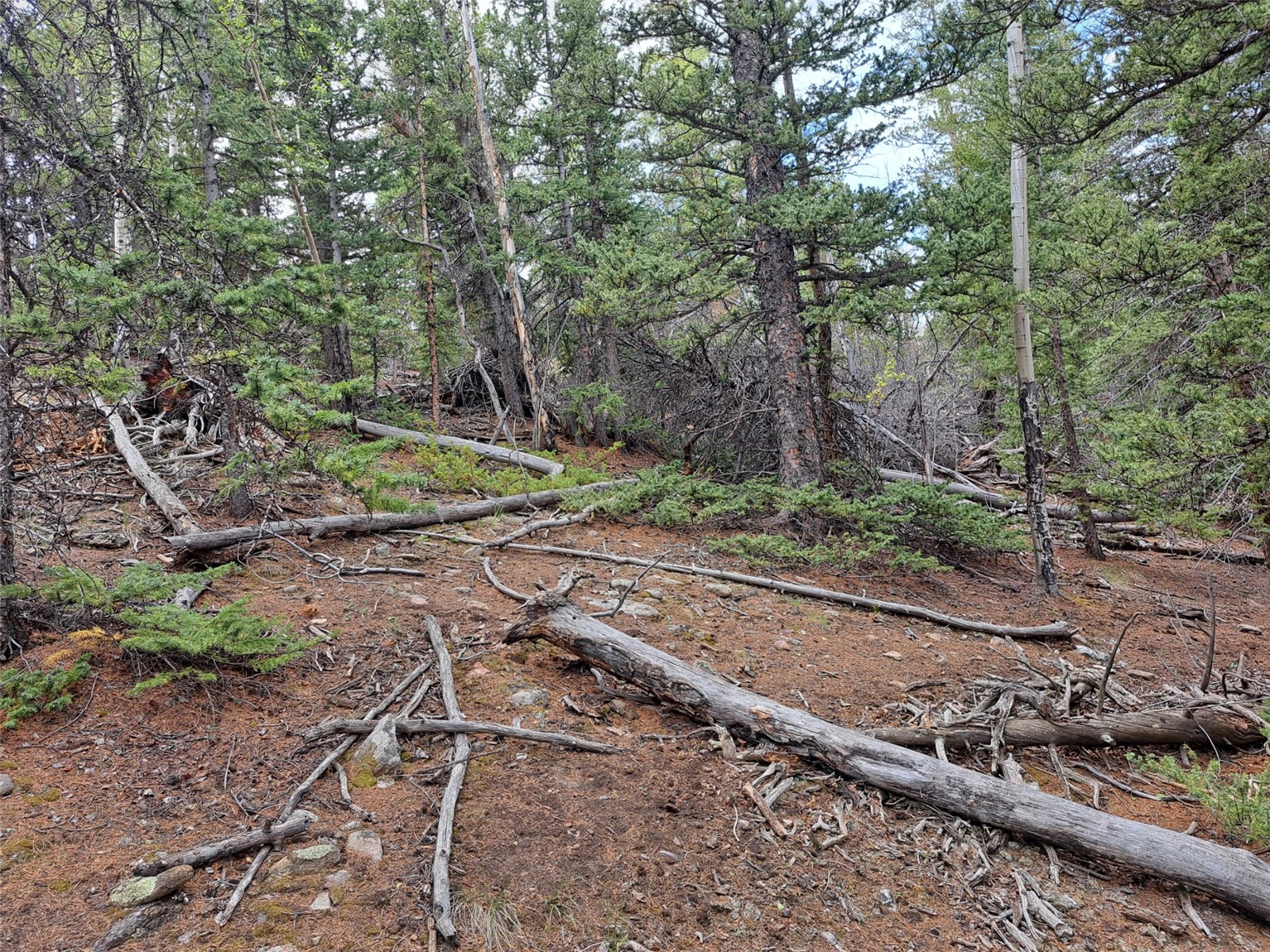1844 High Creek Road Fairplay CO 80440
