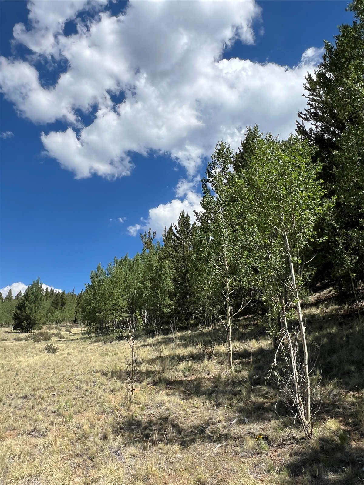152 Co Road 665 Fairplay CO 80440