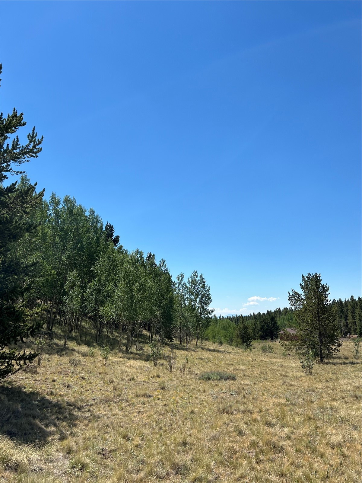 152 Co Road 665 Fairplay CO 80440
