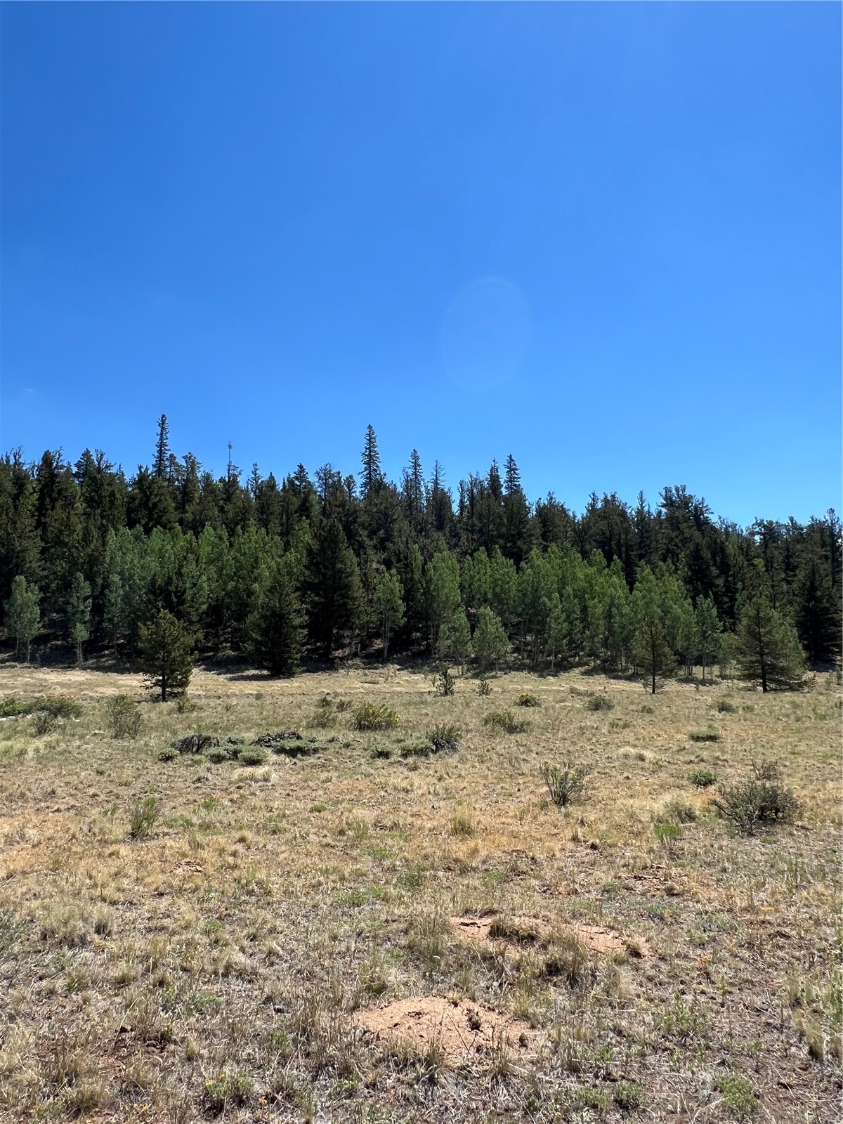 152 Co Road 665 Fairplay CO 80440