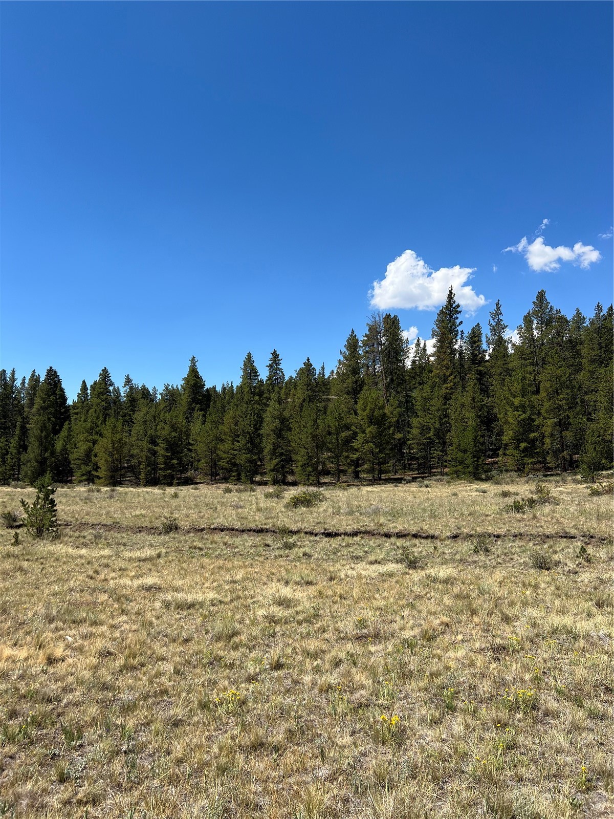 152 Co Road 665 Fairplay CO 80440