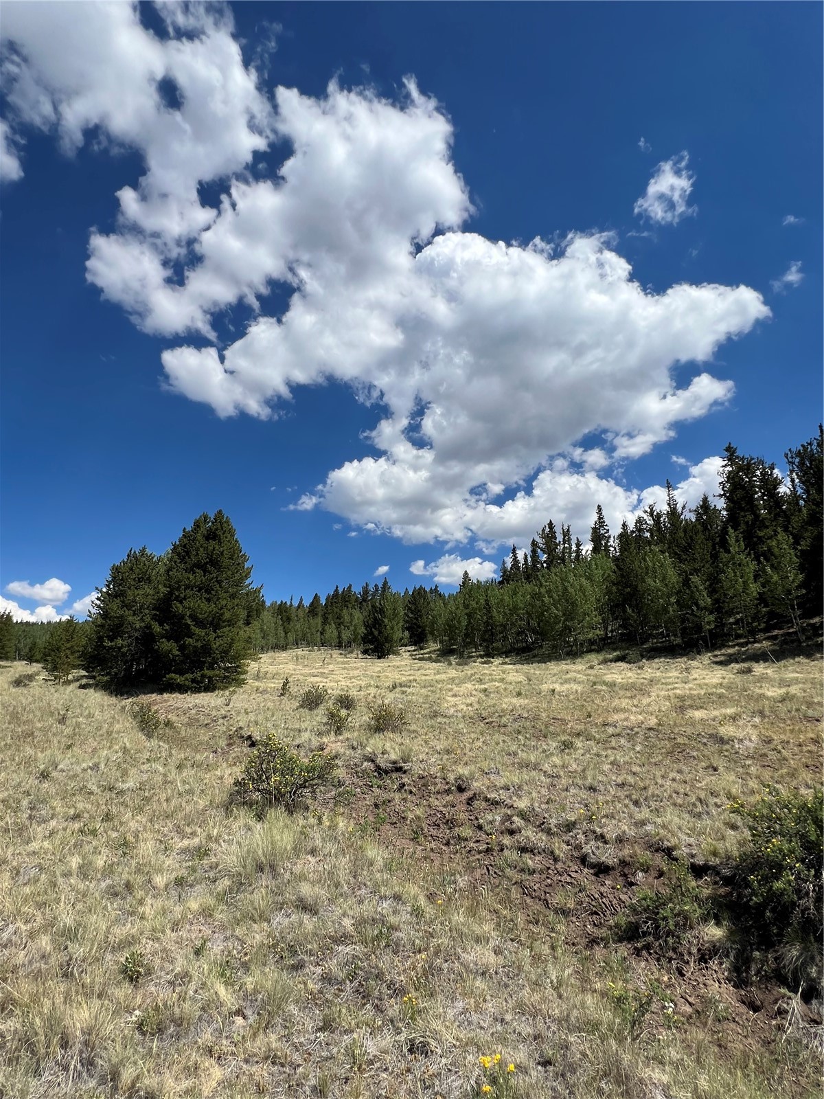 152 Co Road 665 Fairplay CO 80440
