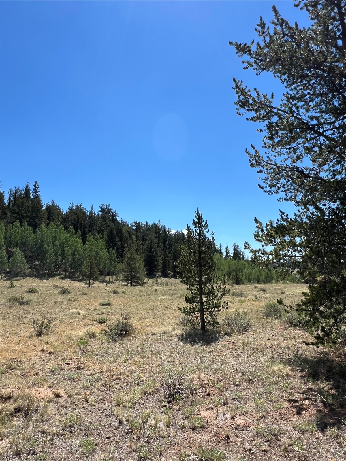 152 Co Road 665 Fairplay CO 80440