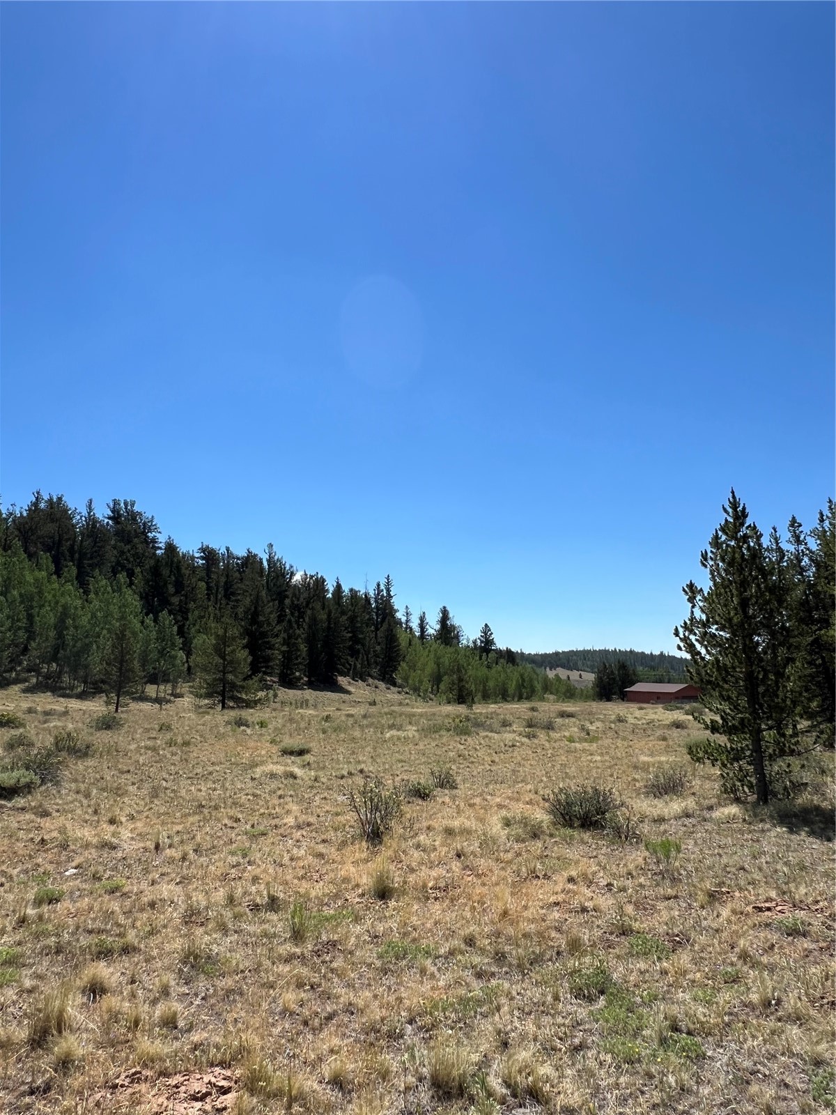 152 Co Road 665 Fairplay CO 80440