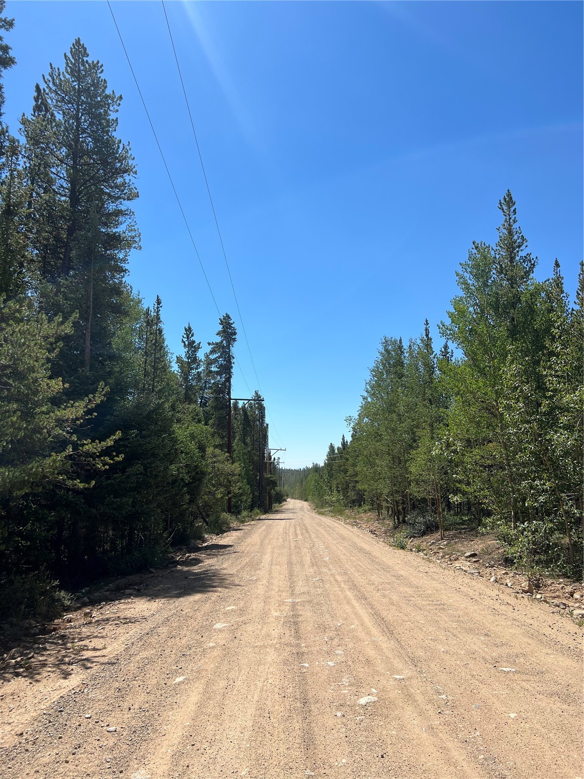 152 Co Road 665 Fairplay CO 80440