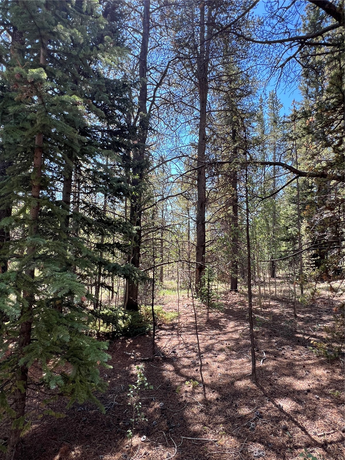 152 Co Road 665 Fairplay CO 80440