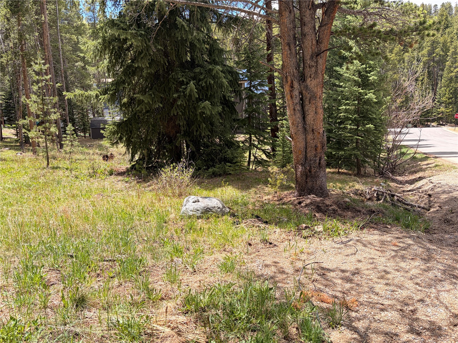 152 Tomahawk Lane Breckenridge CO 80424