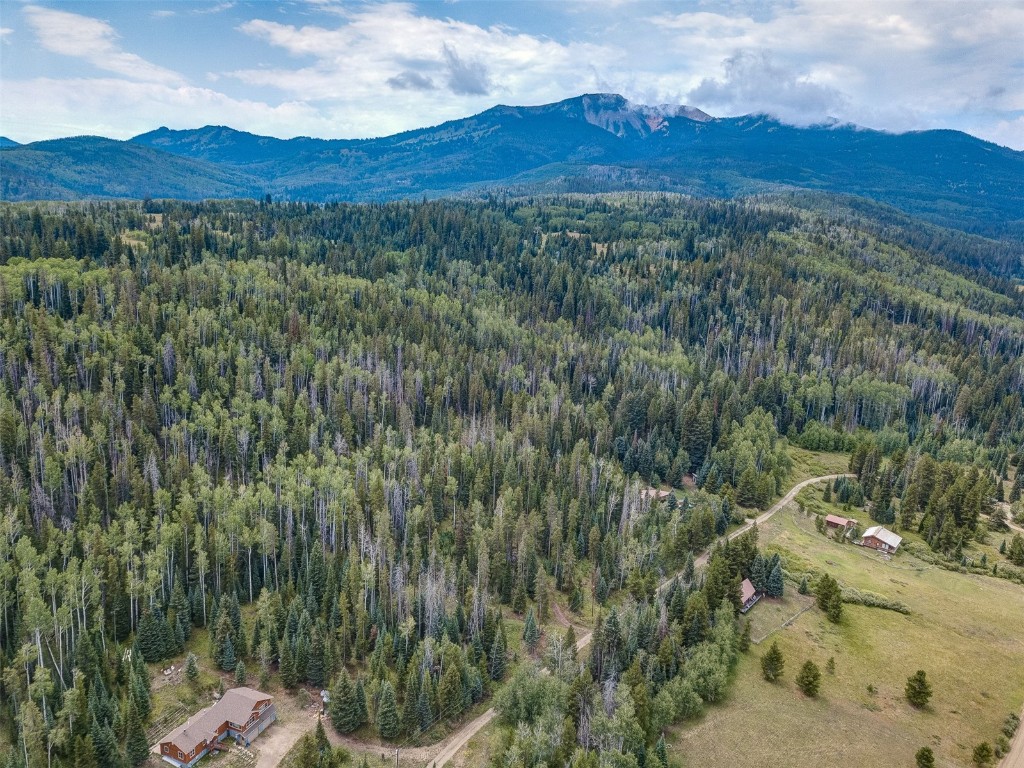 39455 Crows Nest Drive Clark CO 80428