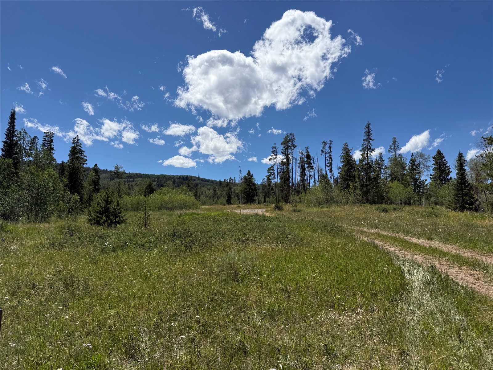 5 Lots On Shay Way Oak Creek CO 80467