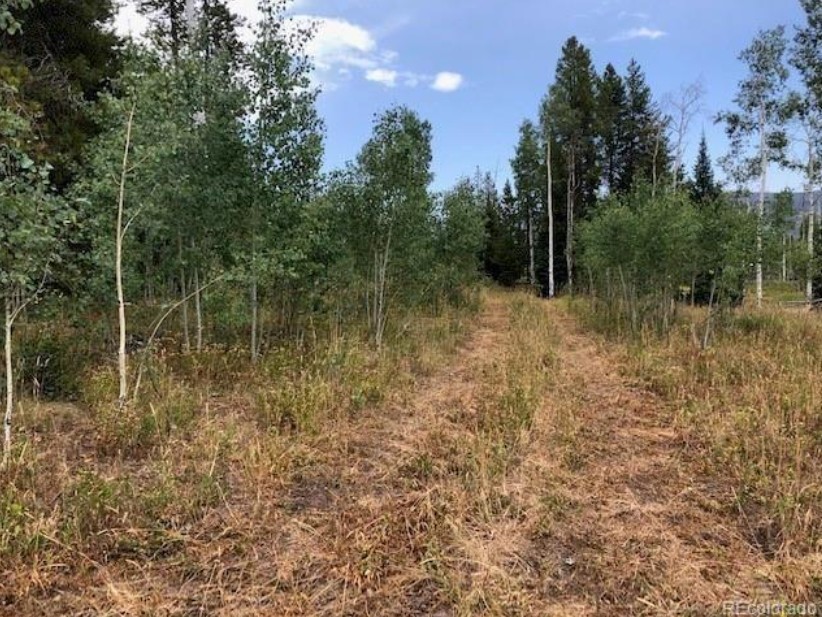 5 Lots On Shay Way Oak Creek CO 80467