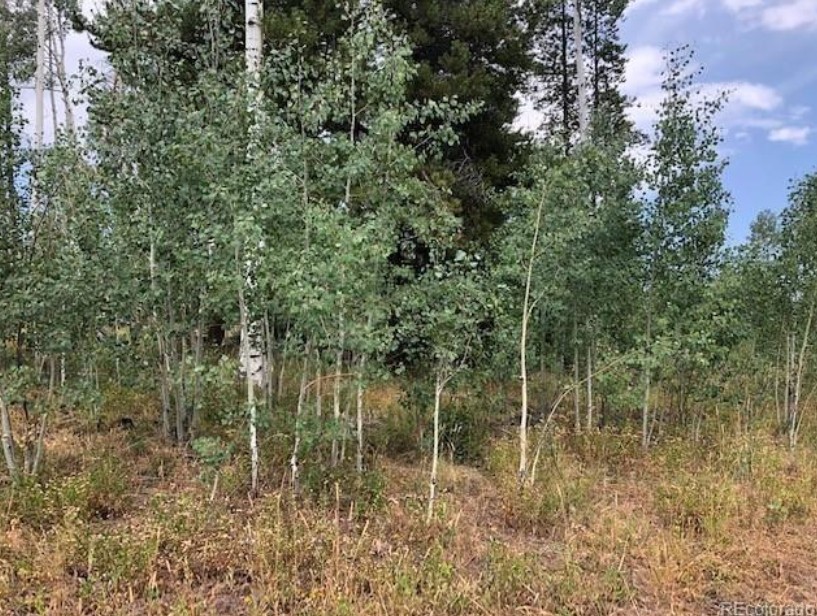 5 Lots On Shay Way Oak Creek CO 80467