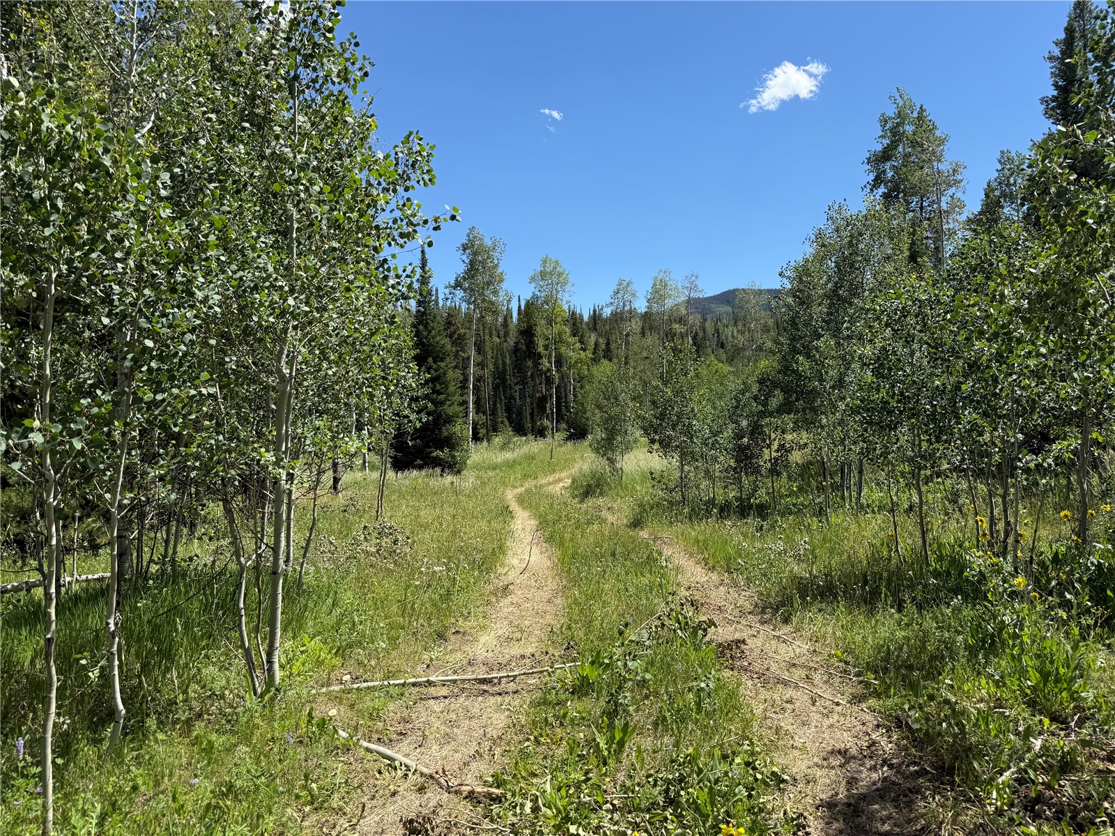5 Lots On Shay Way Oak Creek CO 80467
