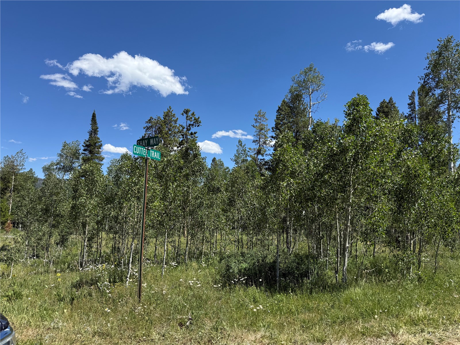 5 Lots On Shay Way Oak Creek CO 80467