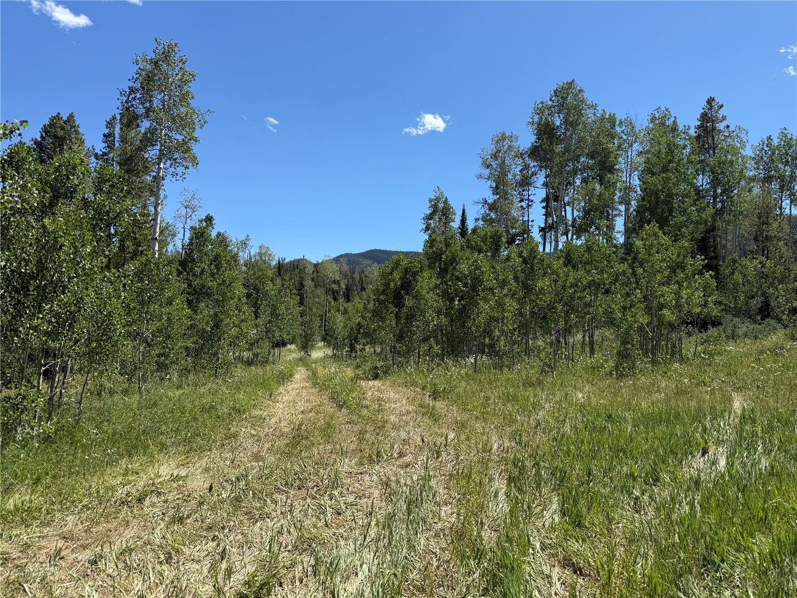 5 Lots On Shay Way Oak Creek CO 80467