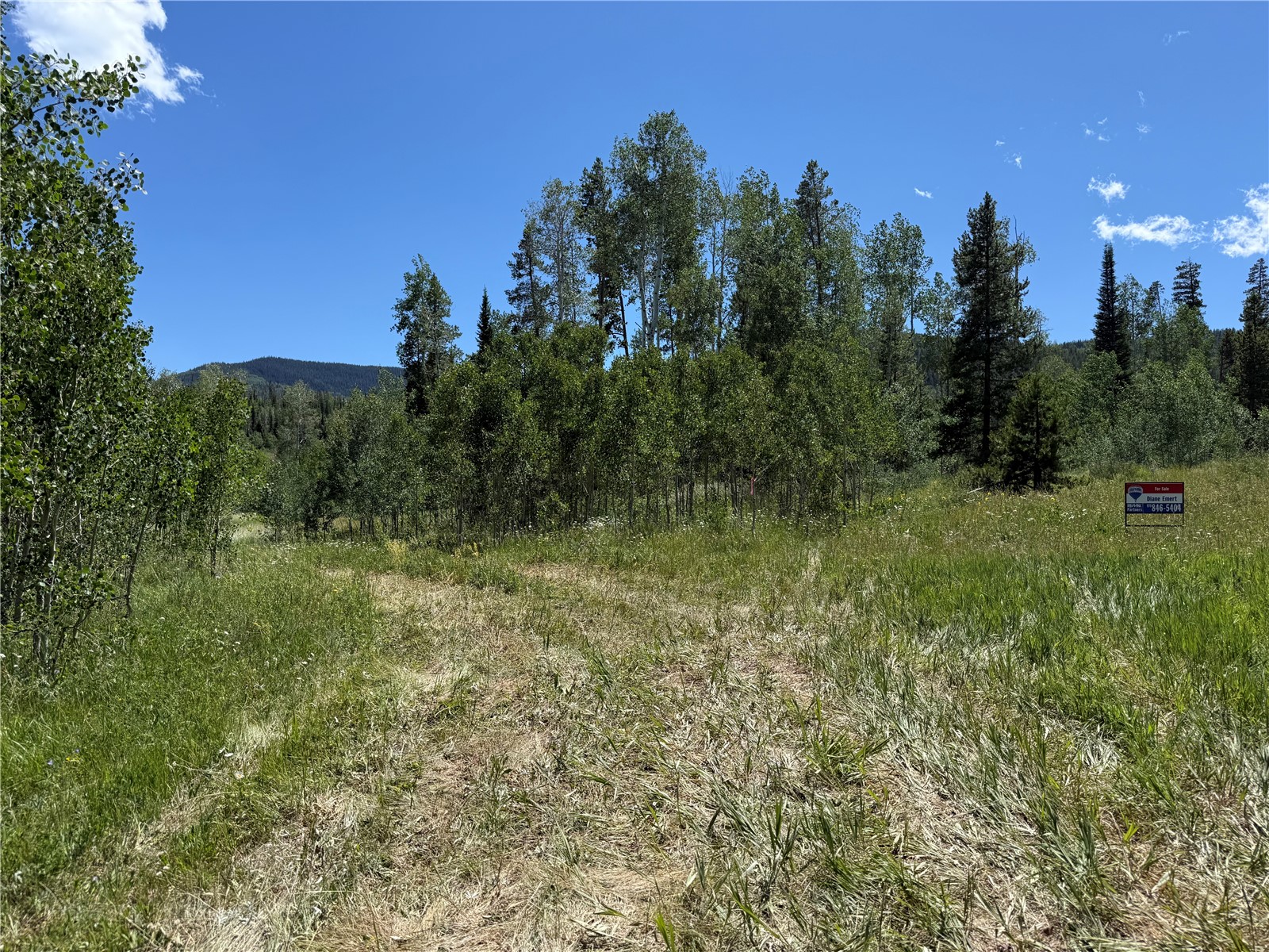 5 Lots On Shay Way Oak Creek CO 80467
