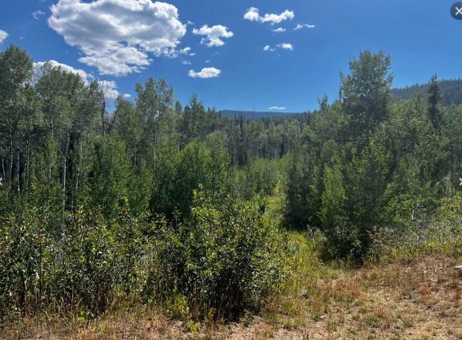 5 Lots On Shay Way Oak Creek CO 80467