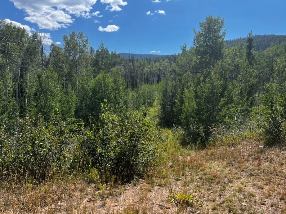 5 Lots On Shay Way Oak Creek CO 80467