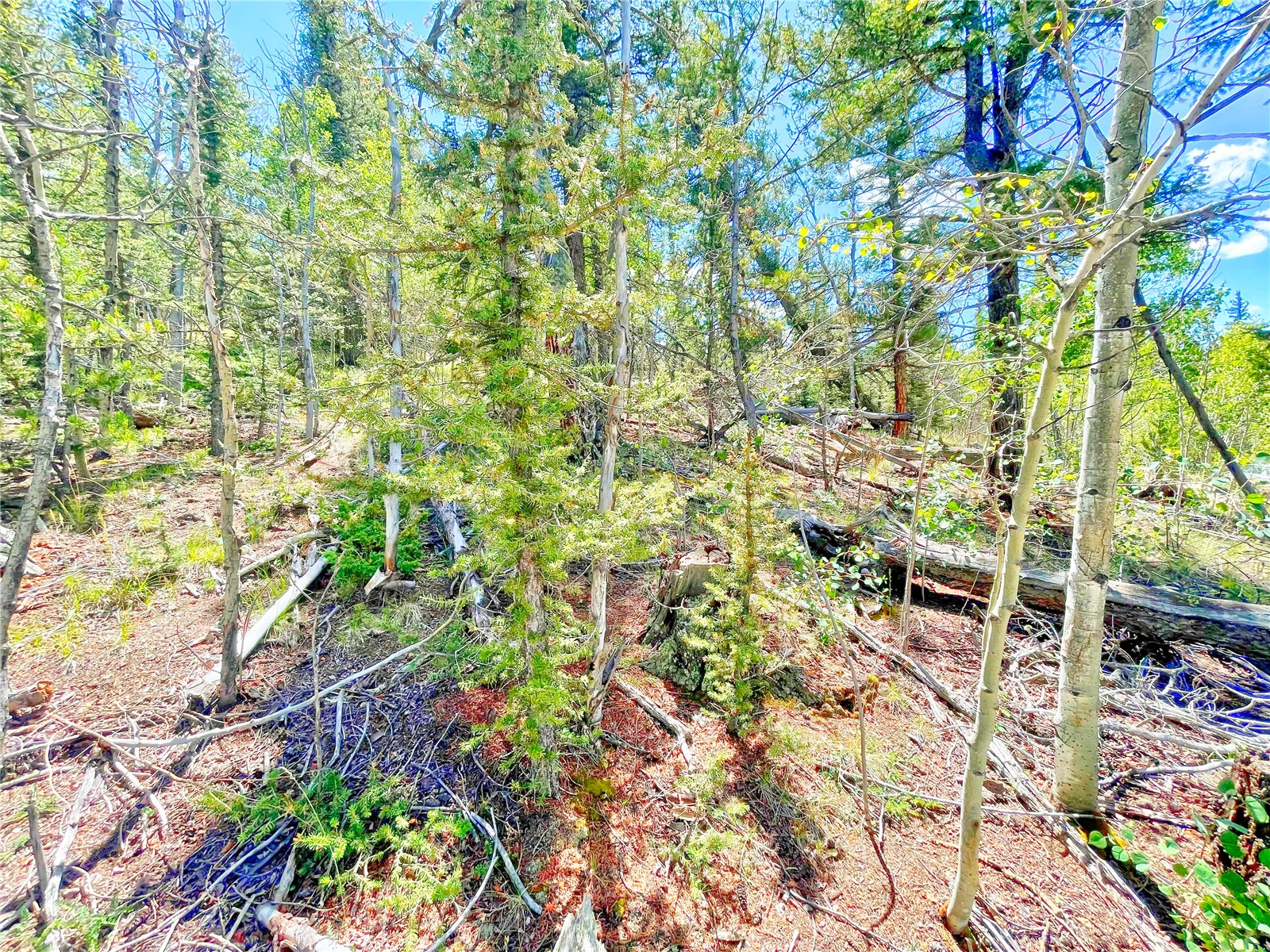 224 Apache Trail Como CO 80432