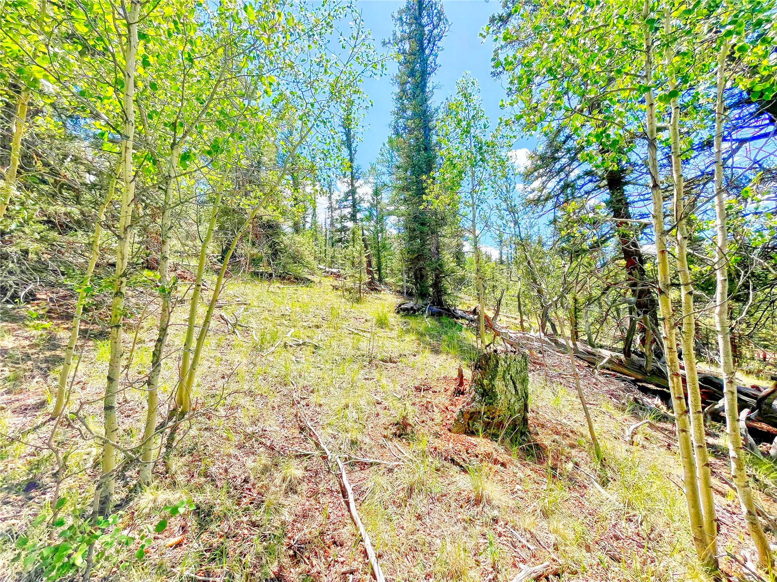 224 Apache Trail Como CO 80432