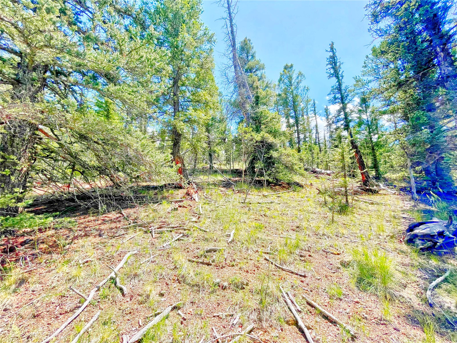224 Apache Trail Como CO 80432
