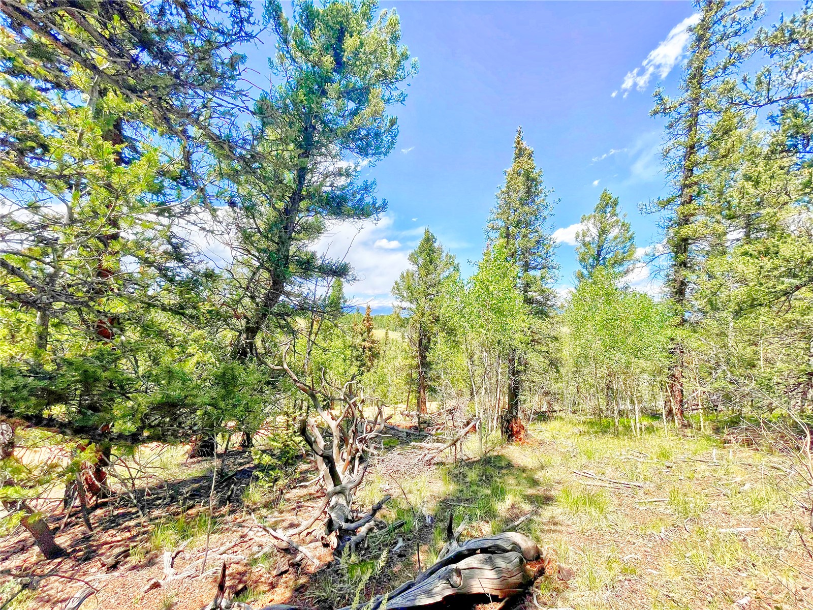 224 Apache Trail Como CO 80432