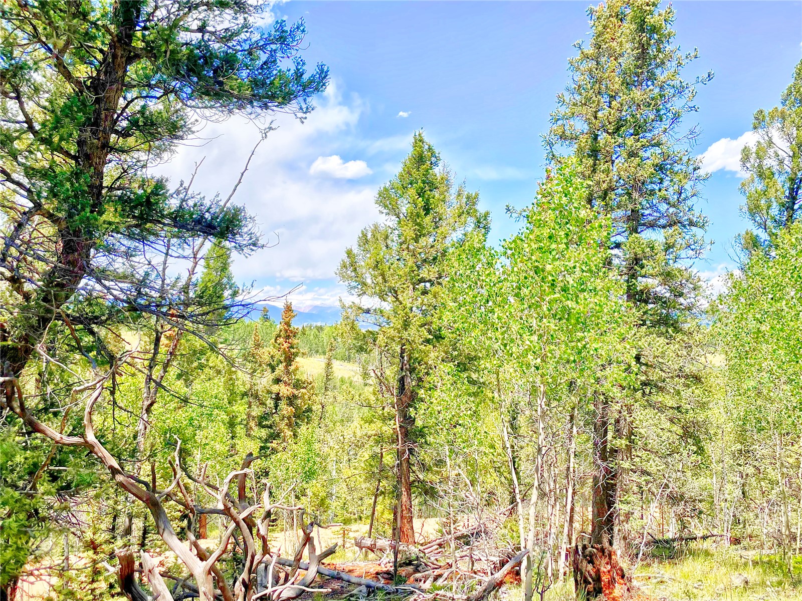 224 Apache Trail Como CO 80432