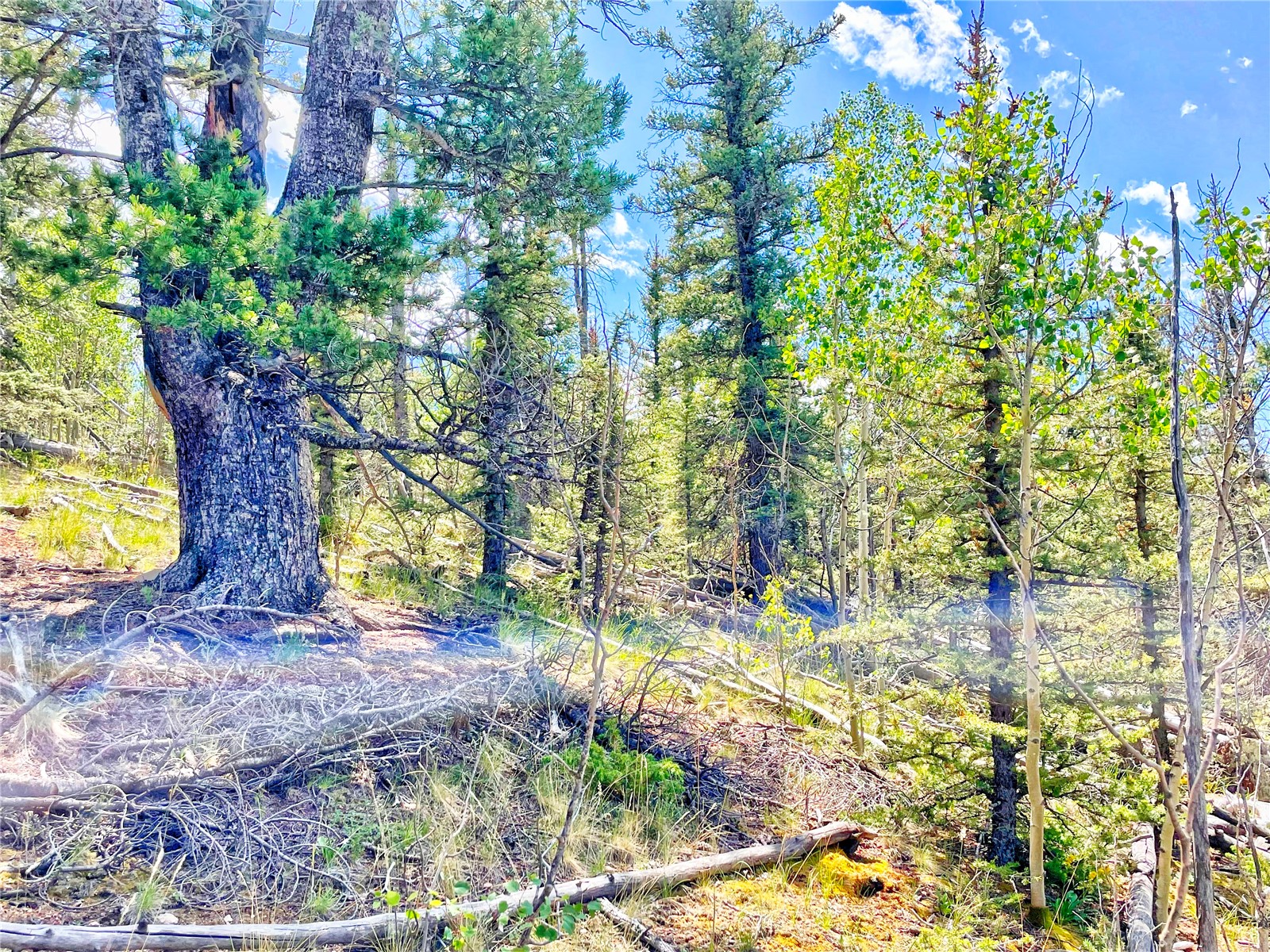 224 Apache Trail Como CO 80432