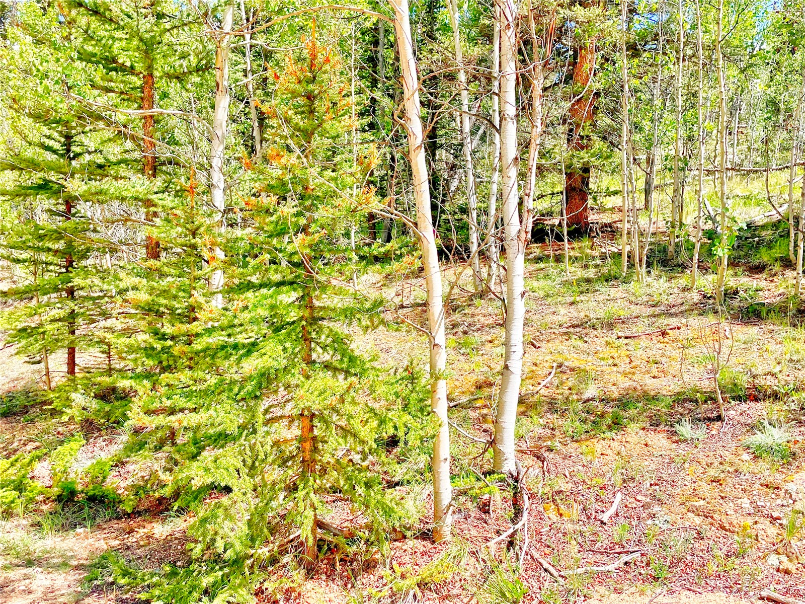 224 Apache Trail Como CO 80432