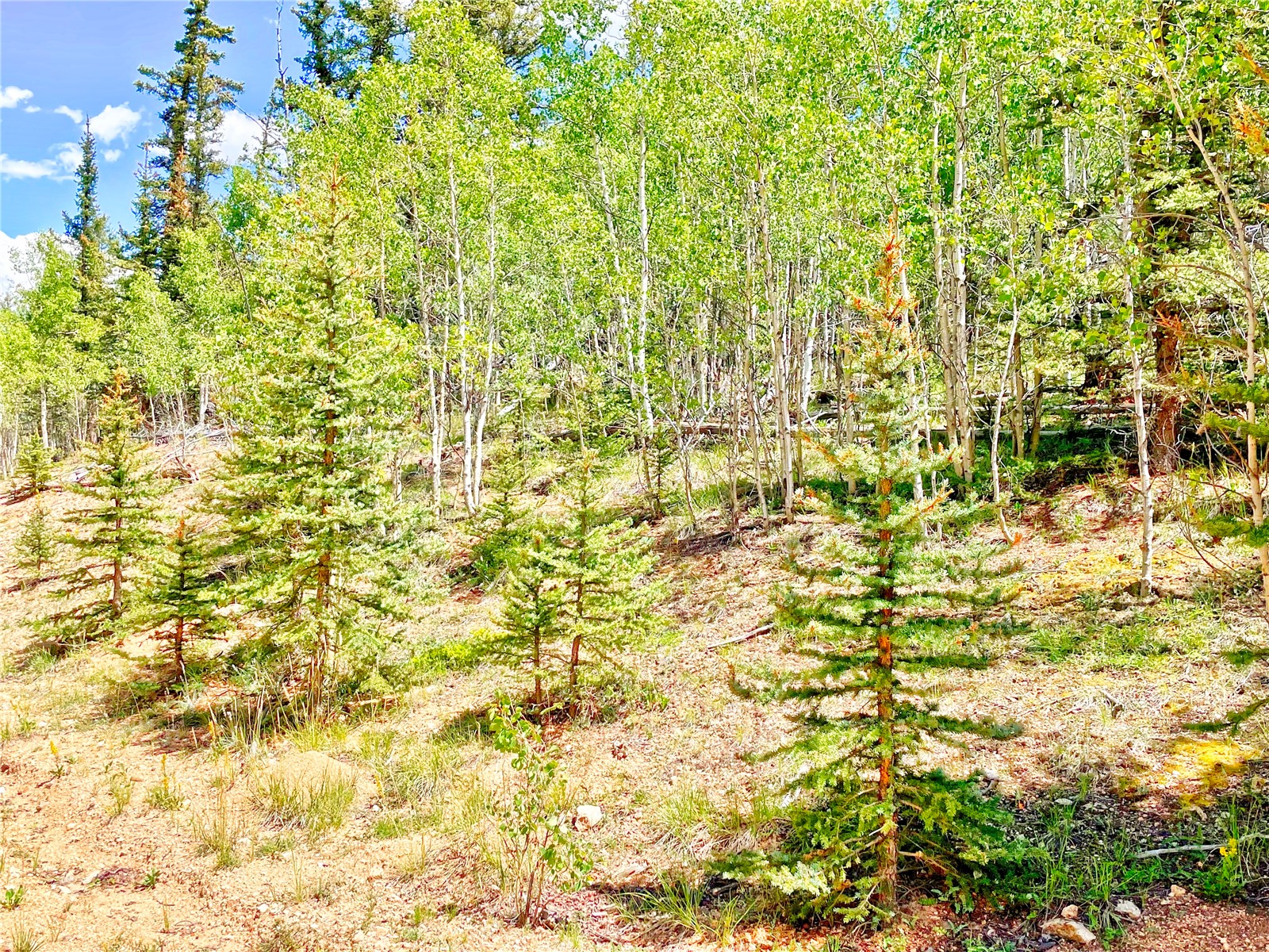 224 Apache Trail Como CO 80432
