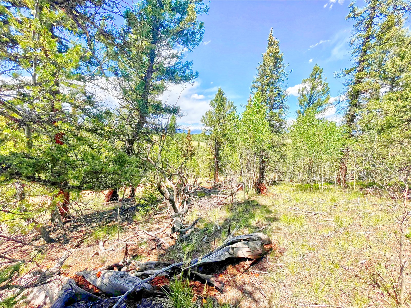 224 Apache Trail Como CO 80432