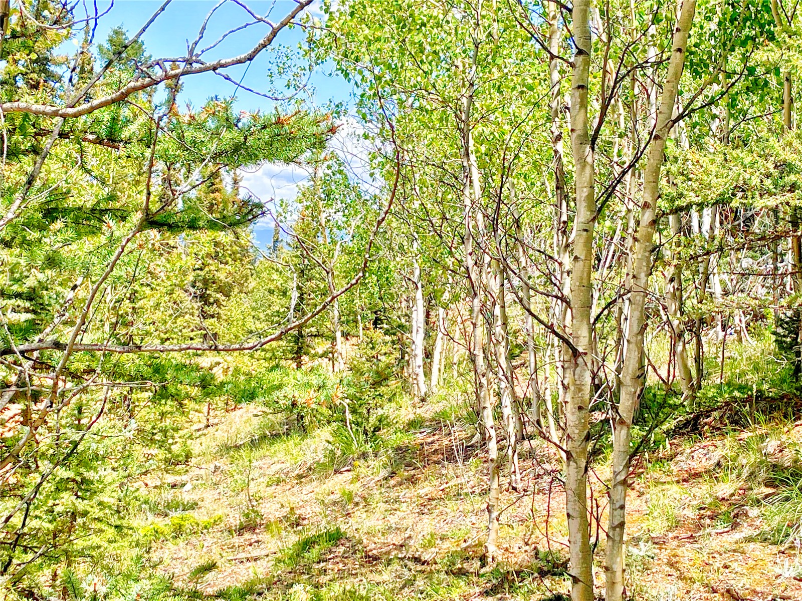 224 Apache Trail Como CO 80432
