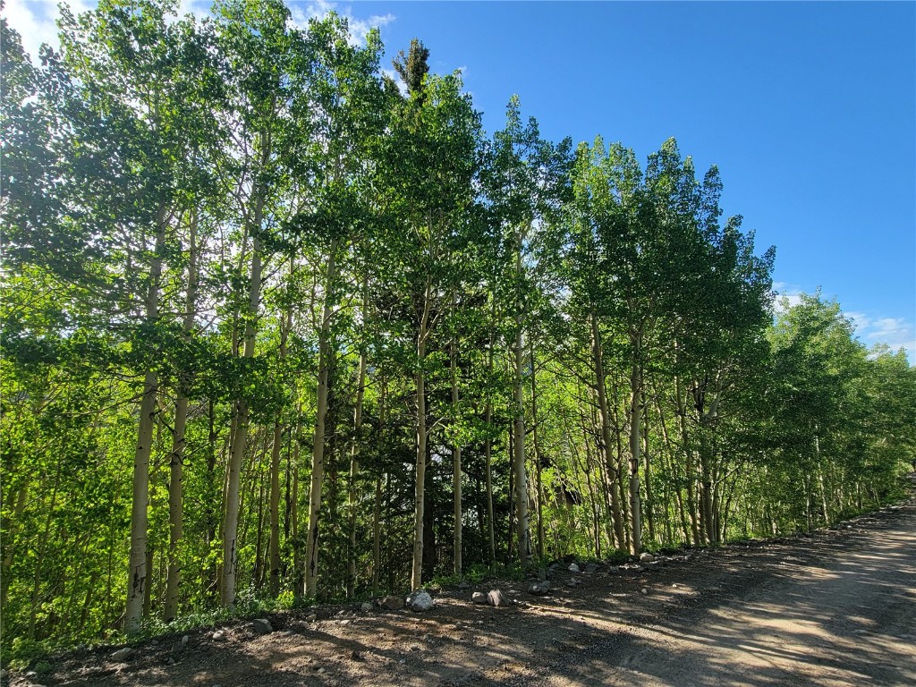 1191 Quartzville Road Alma CO 80420
