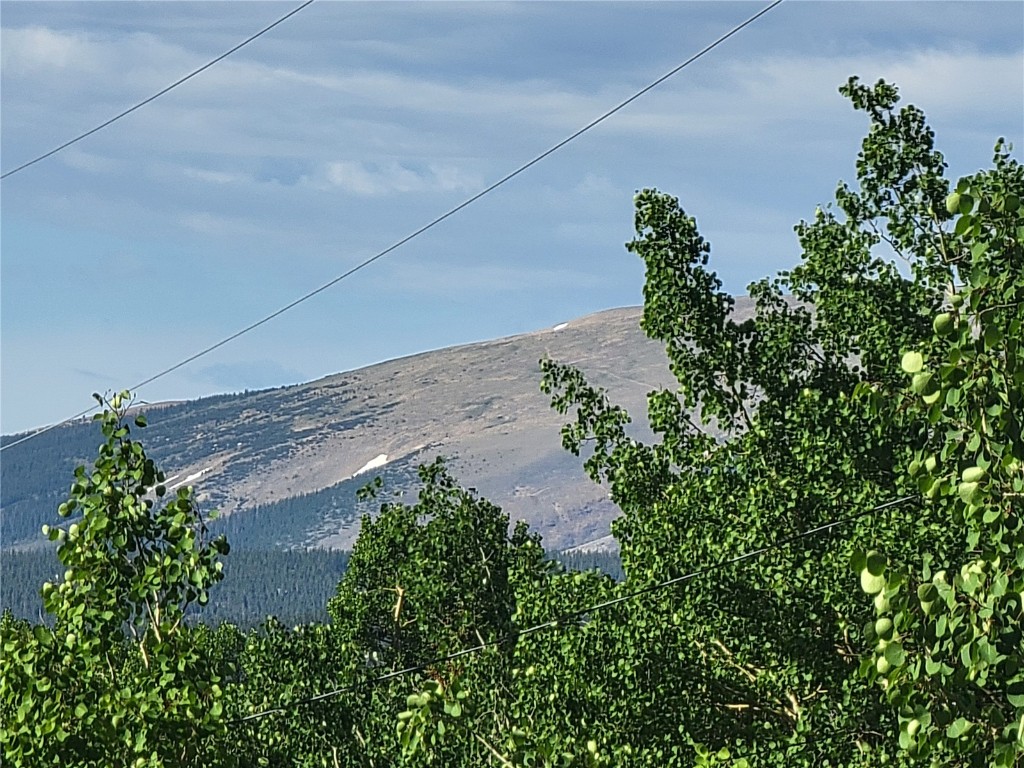 1191 Quartzville Road Alma CO 80420