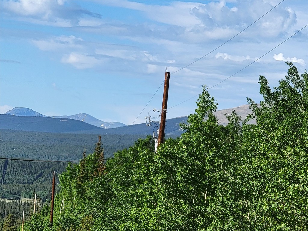 1191 Quartzville Road Alma CO 80420
