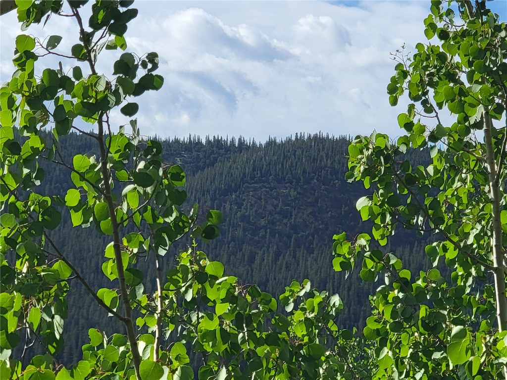 1191 Quartzville Road Alma CO 80420