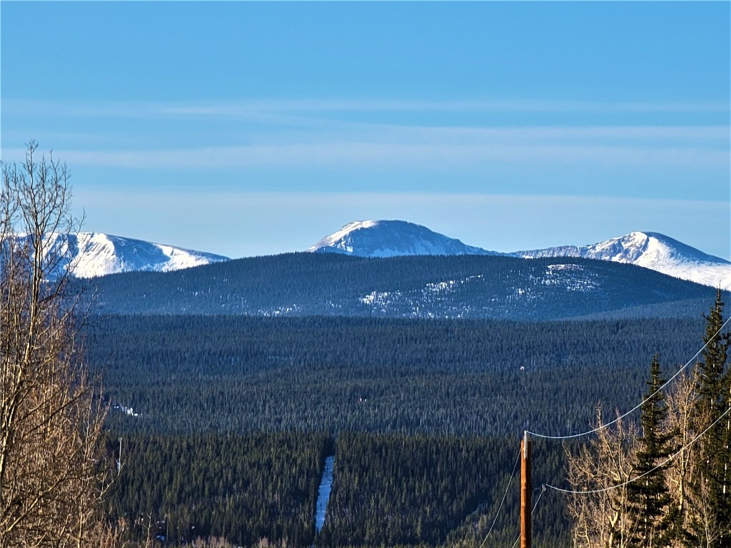 1191 Quartzville Road Alma CO 80420